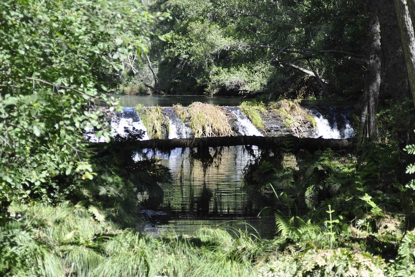 Picture 4 for Activity Sabugal Walking Tour: Stories and Charms of the Côa River