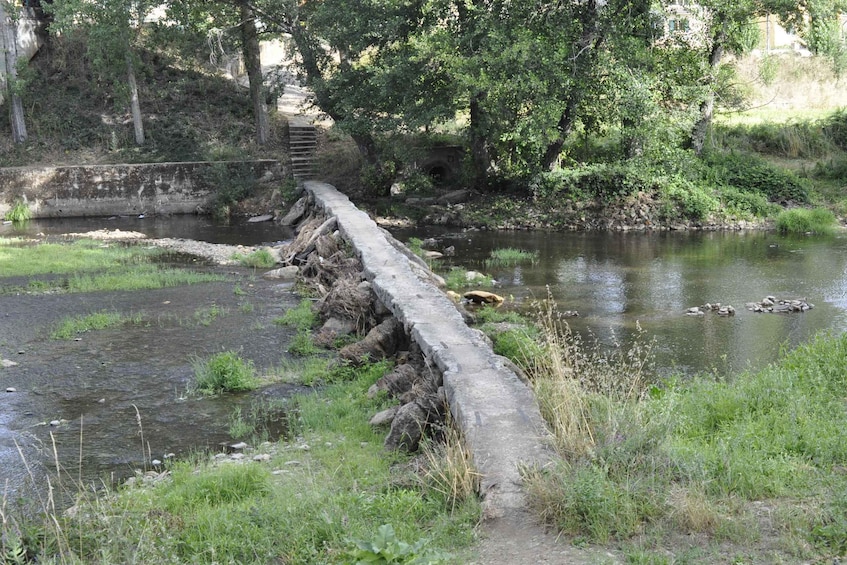 Picture 2 for Activity Sabugal Walking Tour: Stories and Charms of the Côa River