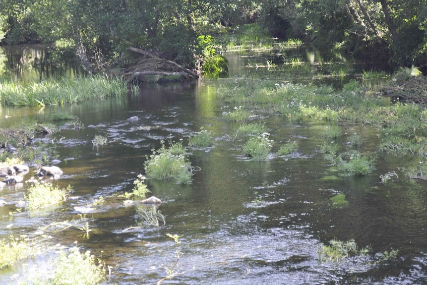 Picture 1 for Activity Sabugal Walking Tour: Stories and Charms of the Côa River