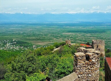 Wine Side Wonders: Sighnaghi, Bodbe, Telavi Group Tour