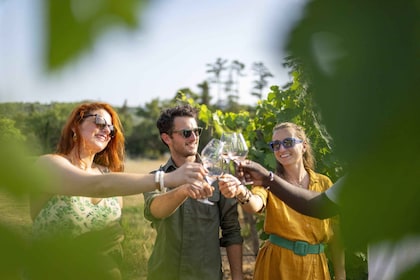 Provence-Weintour - Kleingruppenreise ab Cannes