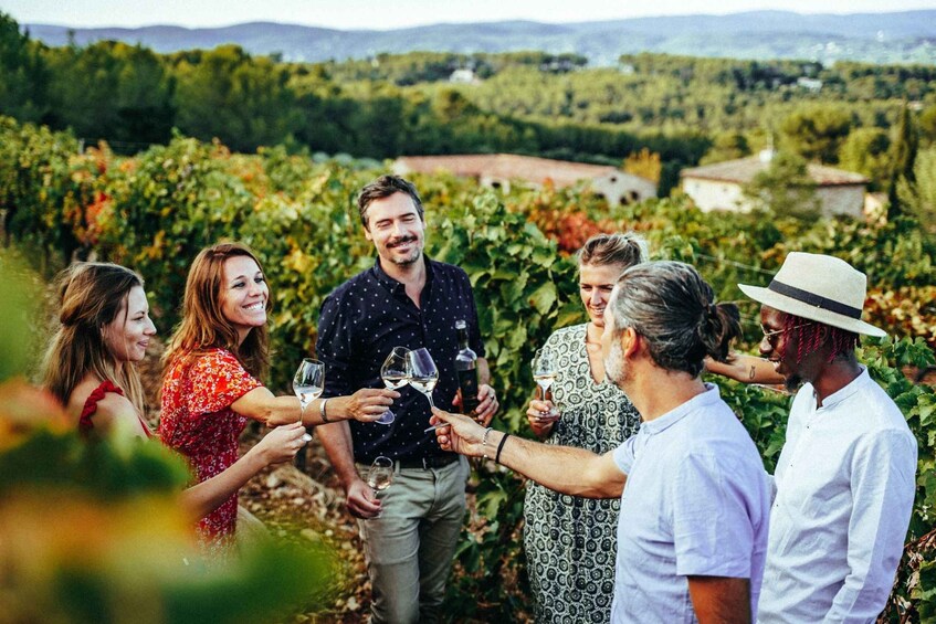 Provence Wine Tour - Small Group Tour from Cannes