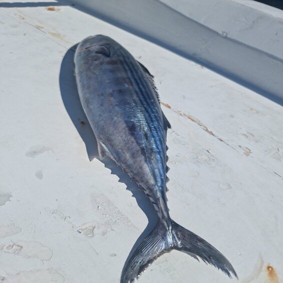 Picture 19 for Activity Santorini: Private Morning Deep Sea Fishing Boat Trip