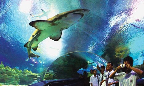 Kuala Lumpur: entrada al Aquaria KLCC