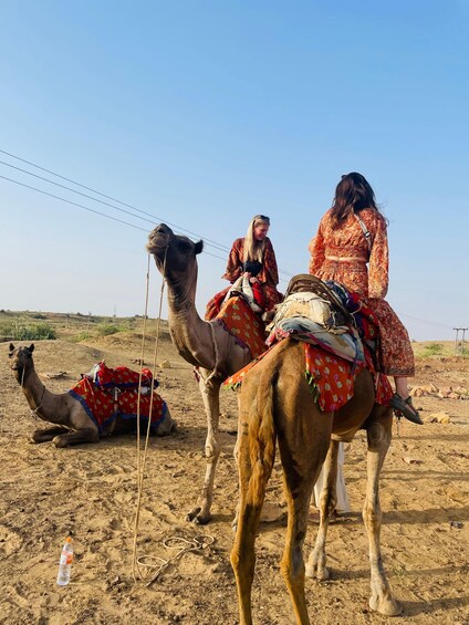 Picture 8 for Activity Tokyo Desert Safari Overnight Thar Desert Experience