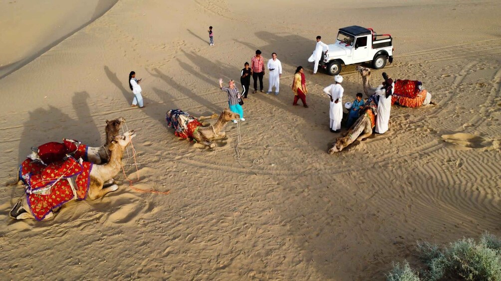 Picture 1 for Activity Tokyo Desert Safari Overnight Thar Desert Experience