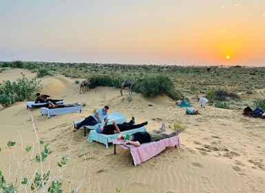 Tokyo Desert Safari Overnight Thar Desert Experience