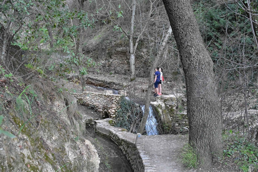 Picture 4 for Activity Granada: Alhambra Natural Park Hiking Tour