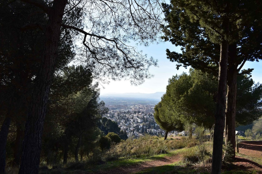 Picture 1 for Activity Granada: Alhambra Natural Park Hiking Tour