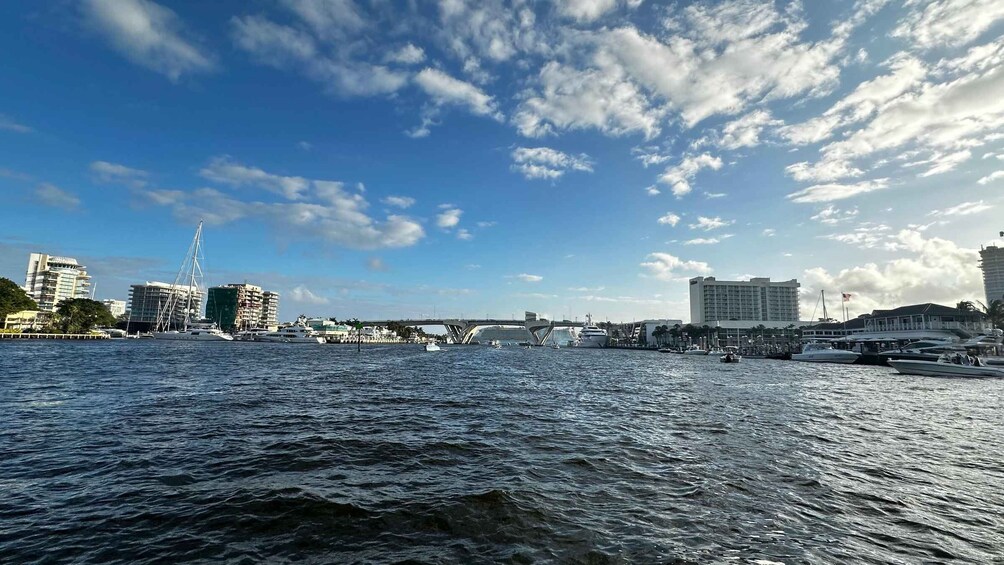 Picture 8 for Activity Pontoon boat ride on the ocean and canals in Broward County