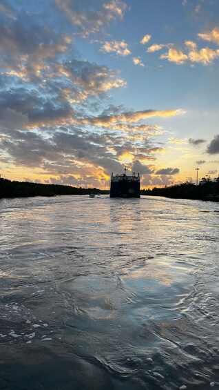 Picture 9 for Activity Pontoon boat ride on the ocean and canals in Broward County