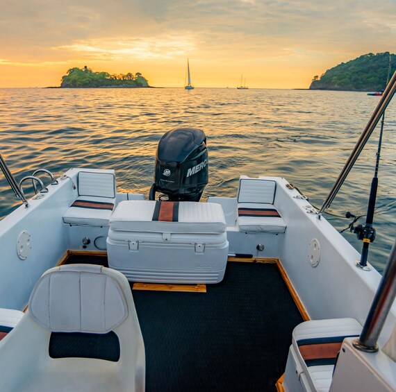 Picture 5 for Activity Costa Rica: Private Guided Dolphin Watching & Snorkelling