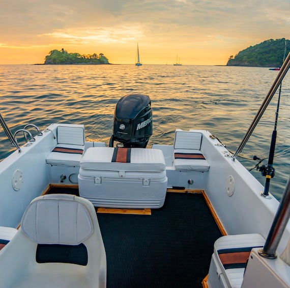 Picture 5 for Activity Costa Rica: Private Guided Dolphin Watching & Snorkelling