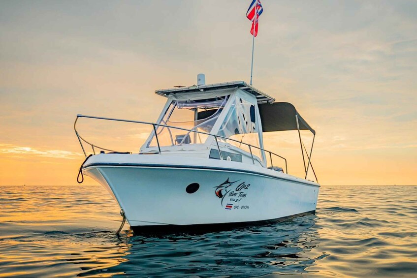 Picture 4 for Activity Costa Rica: Guided Dolphin Watching & Snorkelling Charter