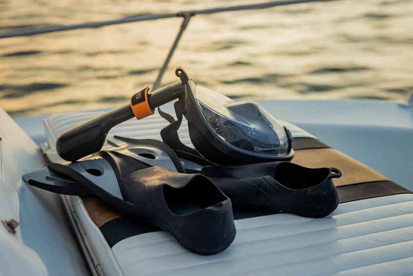Picture 2 for Activity Costa Rica: Guided Dolphin Watching & Snorkelling Charter