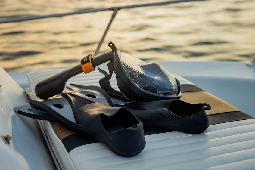 Picture 2 for Activity Costa Rica: Guided Dolphin Watching & Snorkelling Charter