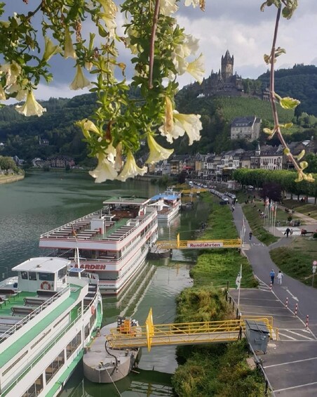 Picture 2 for Activity Cochem: Panorama-Schiff-Tour 1 Stunde bis Ernst und zurück