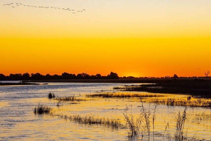 Tarangire National Park Day Tour