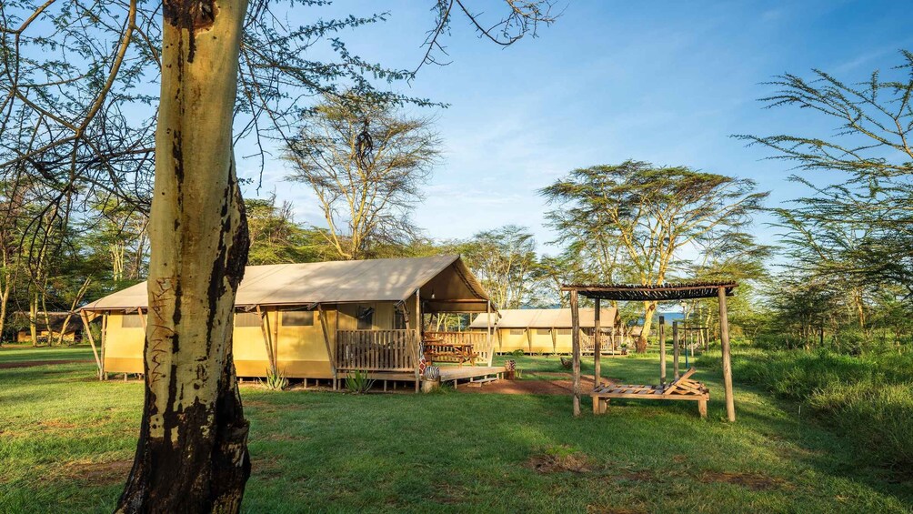 Picture 33 for Activity From Arusha: Discover the real Africa from Lake Manyara