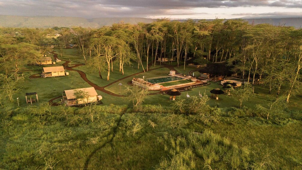 Picture 52 for Activity From Arusha: Discover the real Africa from Lake Manyara