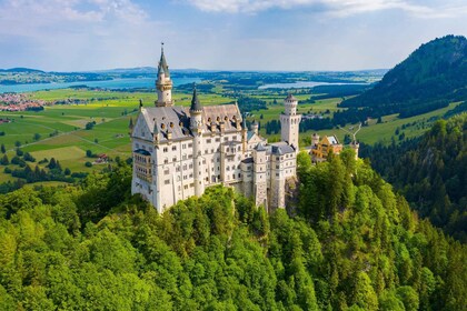 Fra München: Privat dagstur til Neuschwanstein Slot