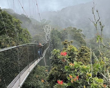 2 Days Nyungwe National Park Tours -Chimp-Canopy-Waterfall