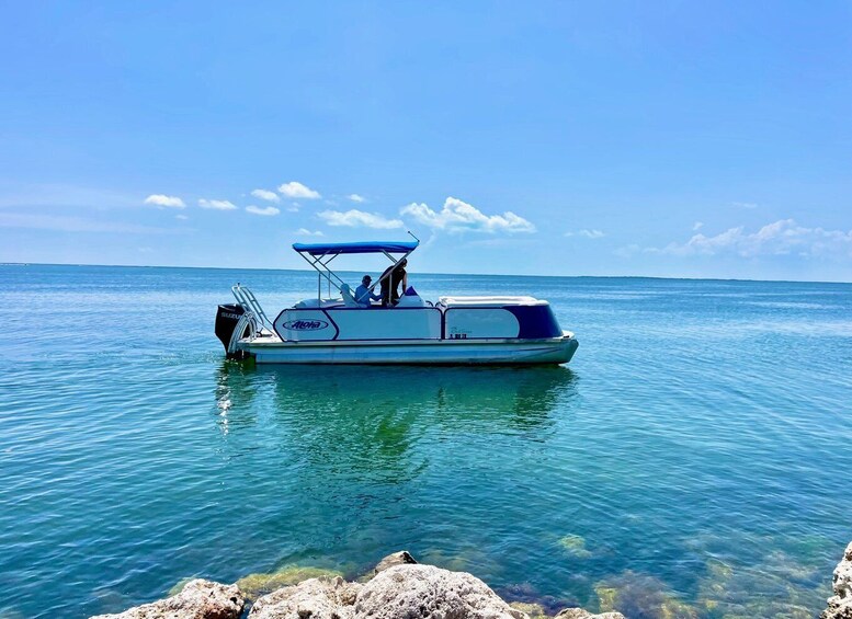 Picture 7 for Activity Key Largo Pontoon Boat Rentals