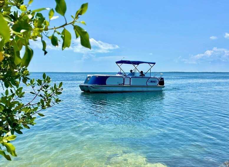 Picture 1 for Activity Key Largo Pontoon Boat Rentals