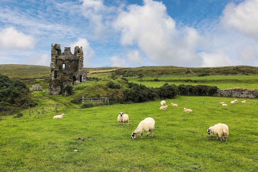 Dingle: Heritage Photo And Sightseeing Tour