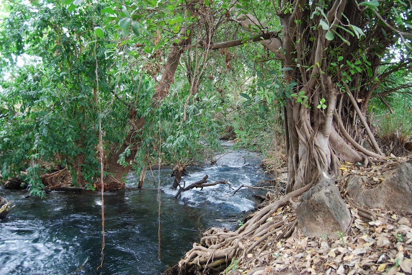 Picture 7 for Activity Moshi: Chemka Hot Springs