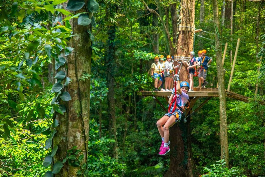 Picture 7 for Activity Cairns: Daintree Rainforest Canopy Ziplining Tour