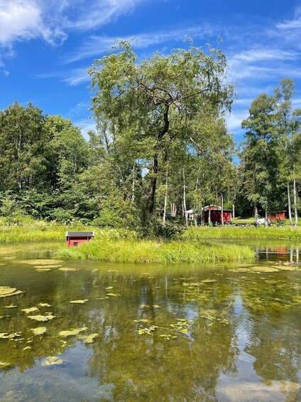 Picture 3 for Activity Oslo Island Walks: Island Hopping Tour