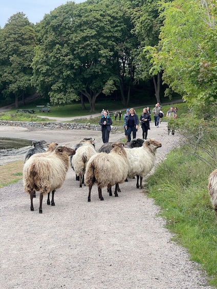 Picture 2 for Activity Oslo Island Walks: Island Hopping Tour