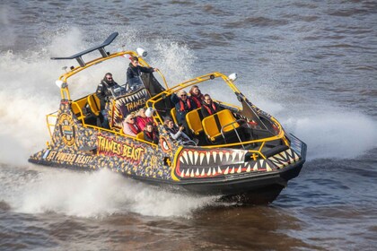 London: 40 Menit MENARA BINATANG BINATANG - Tur Perahu Cepat Sungai Thames