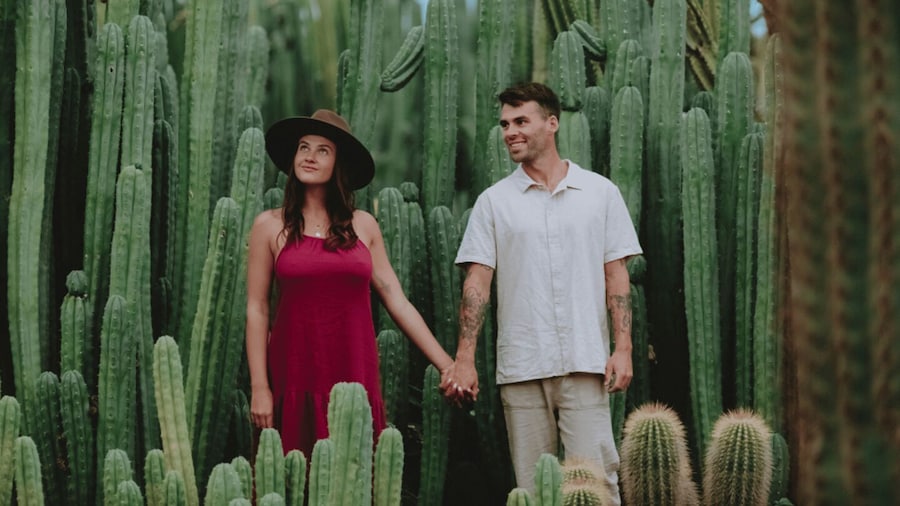 Cactus Country: Entry Ticket