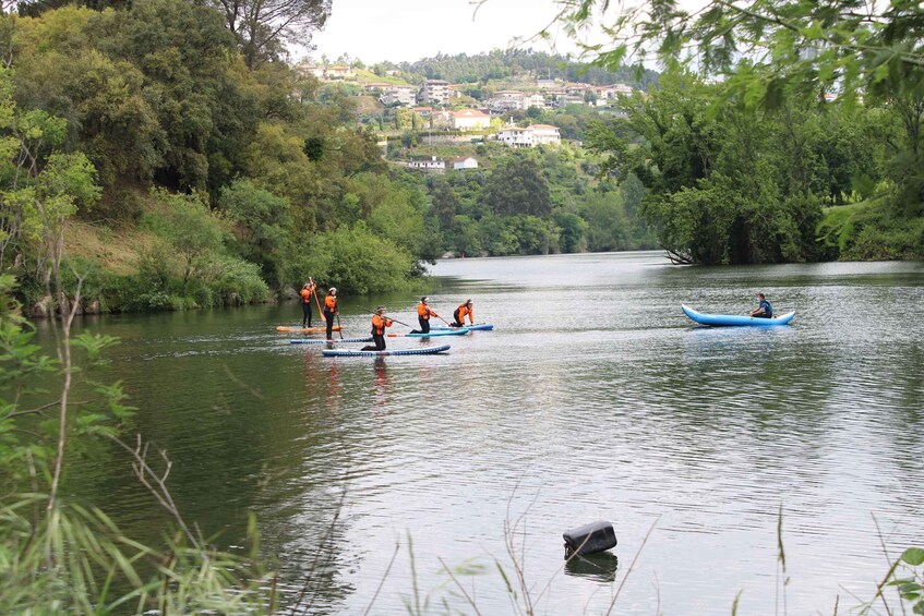 Picture 5 for Activity Stand up Paddle on Douro and Paiva Rivers
