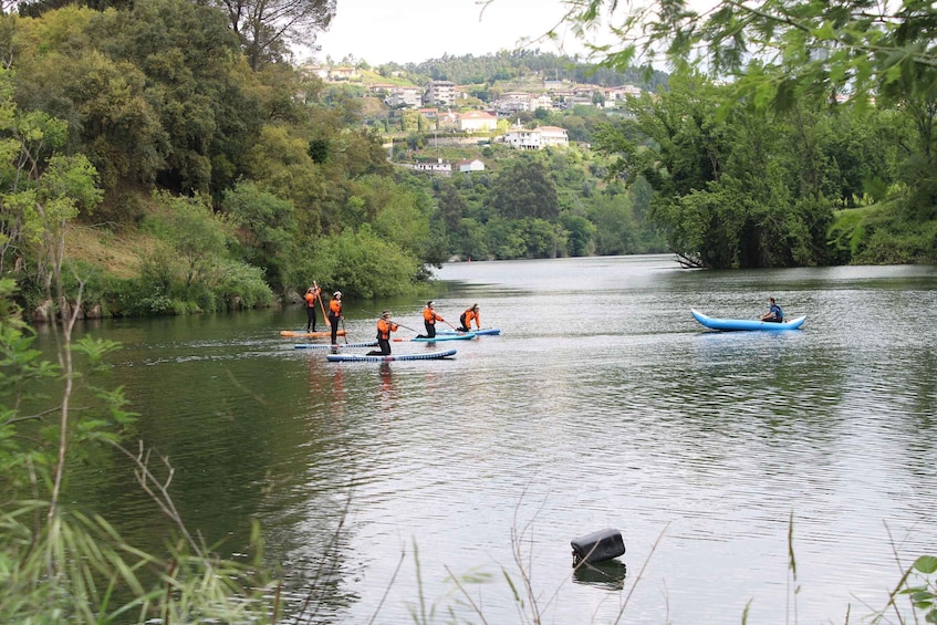 Picture 5 for Activity Stand up Paddle on Douro and Paiva Rivers