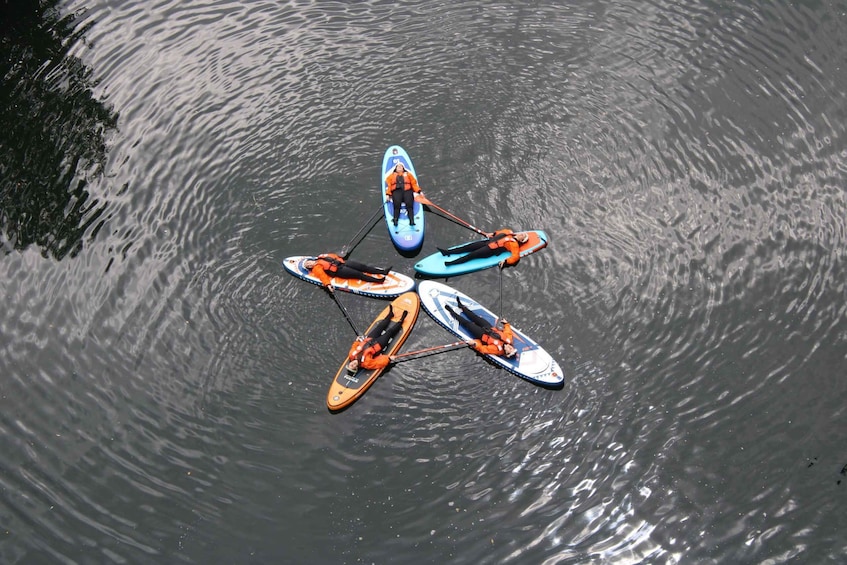 Picture 7 for Activity Stand up Paddle on Douro and Paiva Rivers