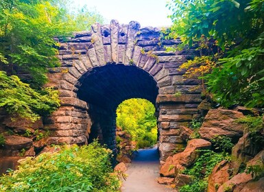 New York: Wandeltocht langs geheime plekken in Central Park