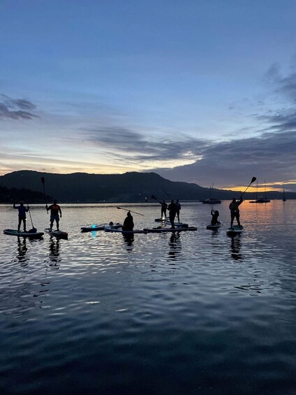 Picture 3 for Activity Victoria: Secret Beaches and Islands SUP Tour