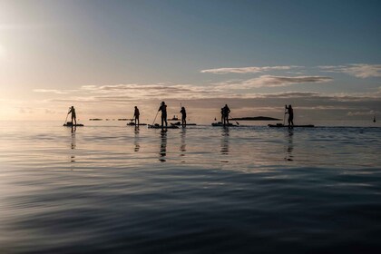 Victoria: Secret Beaches and Islands SUP Tour