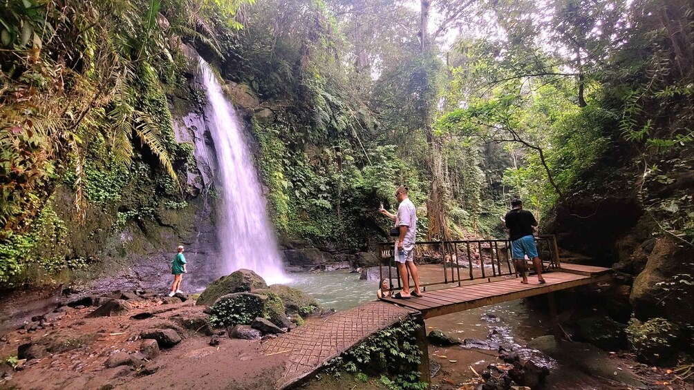 Picture 3 for Activity Ubud: Swing, Coffee Plantation, Rice Terrace, and Waterfall