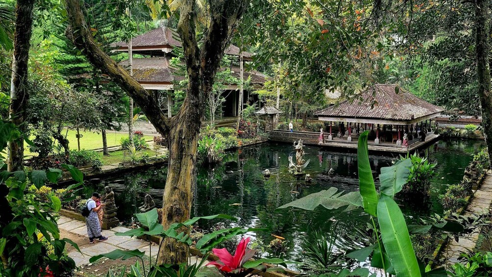 Picture 8 for Activity Ubud: Swing, Coffee Plantation, Rice Terrace, and Waterfall