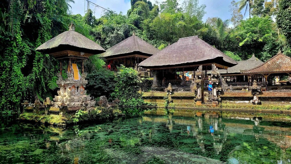 Picture 10 for Activity Ubud: Swing, Coffee Plantation, Rice Terrace, and Waterfall