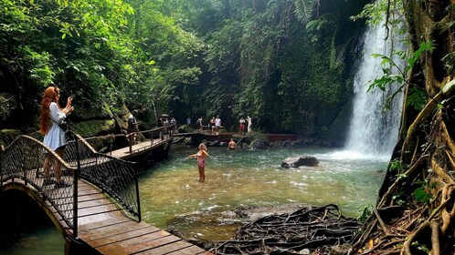 Ubud: Swing, Coffee Plantation, Rice Terrace, and Waterfall