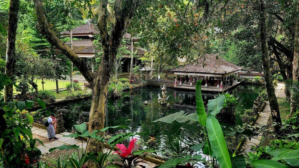 Picture 8 for Activity Ubud: Swing, Coffee Plantation, Rice Terrace, and Waterfall