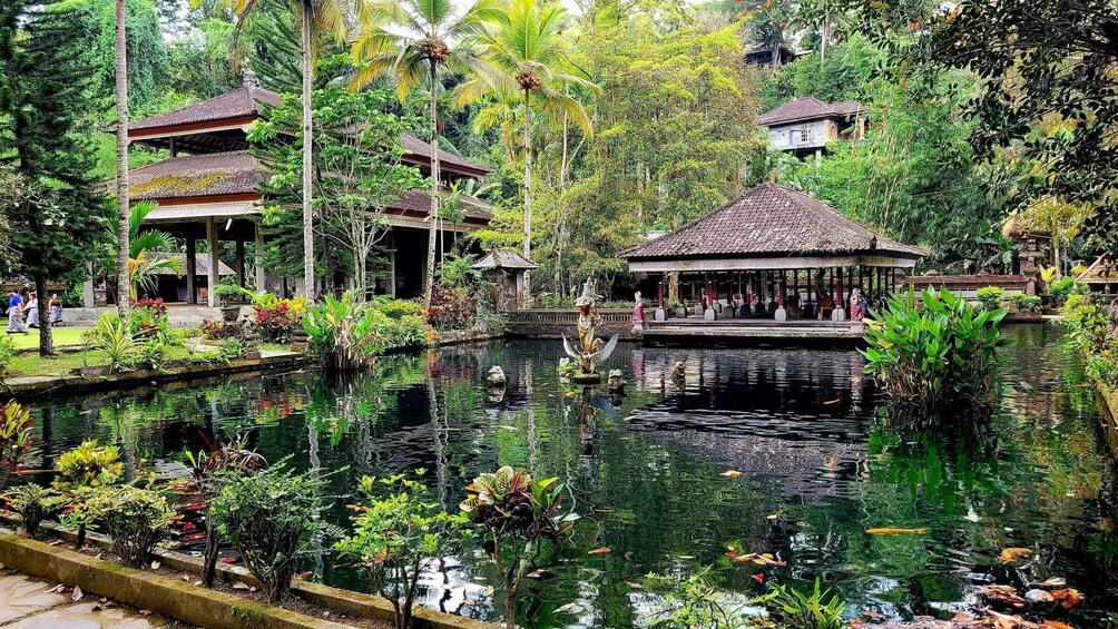 Picture 9 for Activity Ubud: Swing, Coffee Plantation, Rice Terrace, and Waterfall