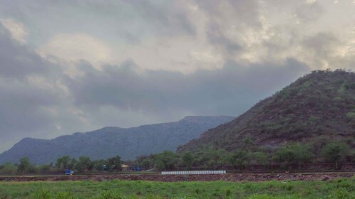 Bujra: Farm to Table at a Zen Eco-Farm Amidst The Aravallis