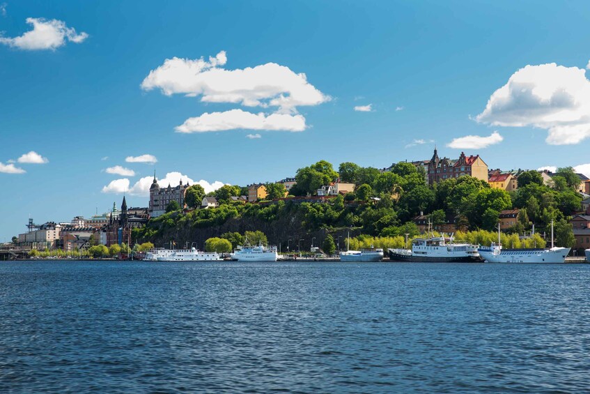 Picture 3 for Activity Stockholm: City Hall Canal boat tour