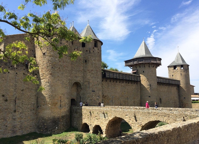 From Toulouse Cite de carcassonne et wine tasting